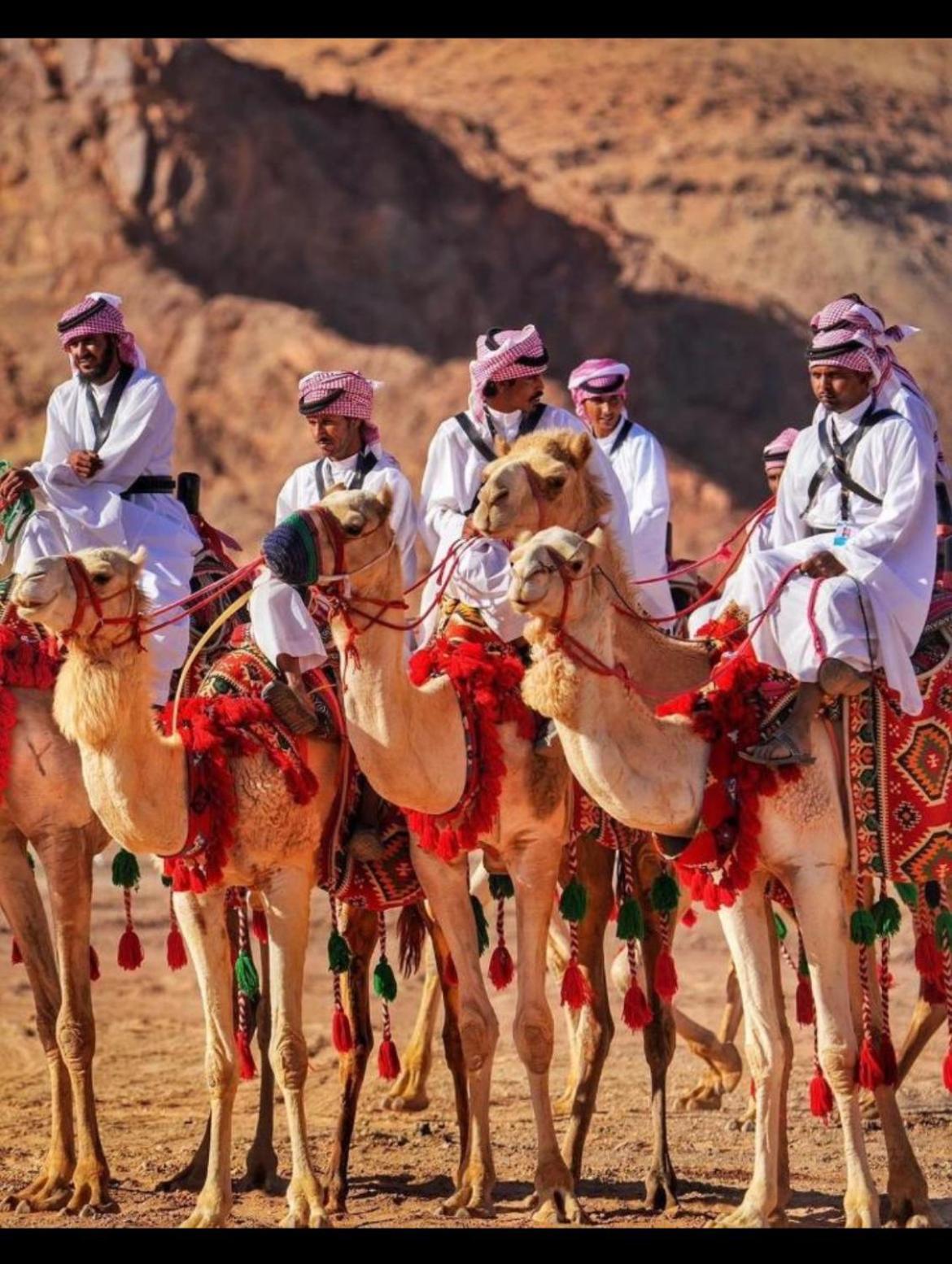Mozoon Camp Hotel Wadi Rum Buitenkant foto